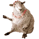 SHEEPIE