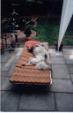 TOMMIE1_THUMB_2