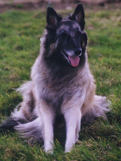 TOMMIE2_2