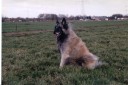 TOMMIE3_THUMB_2